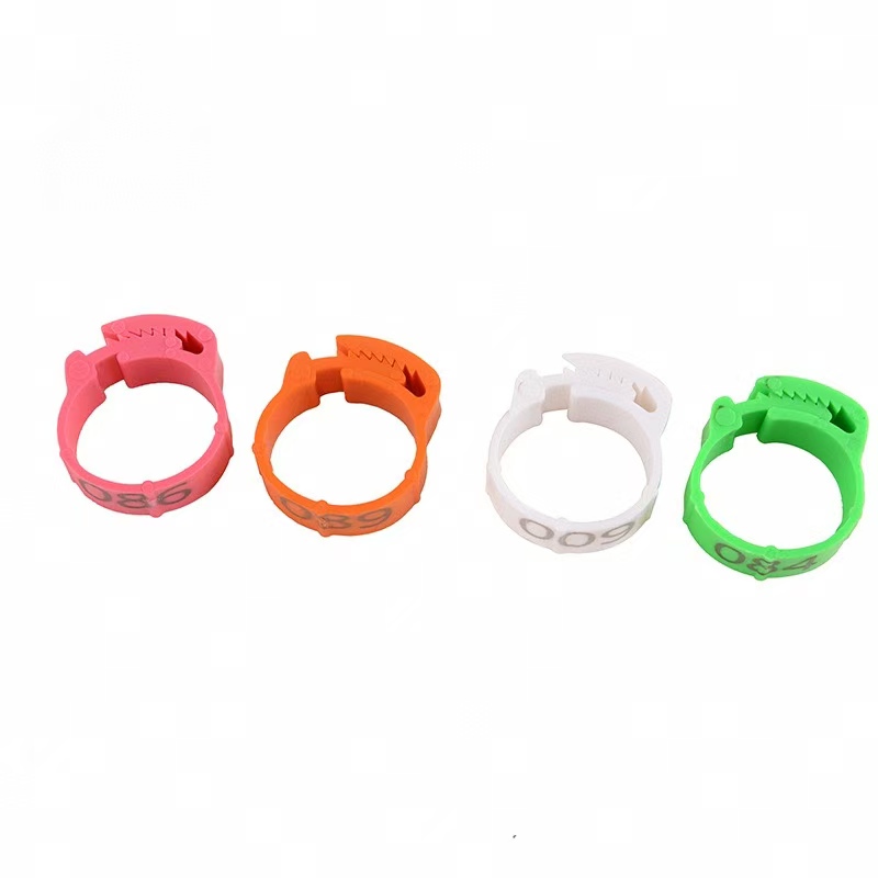 100pcs Chicken Foot Ring Label - Baby Food Label ulasan dan harga